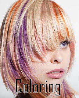 a hair color model